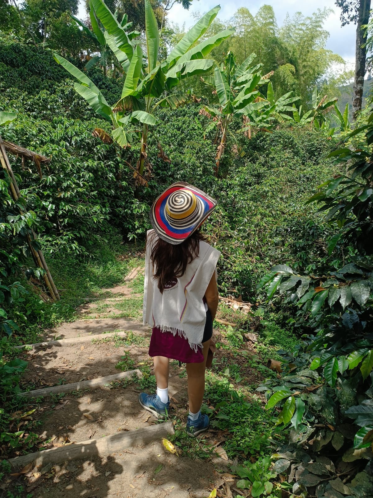 Finca cafetera